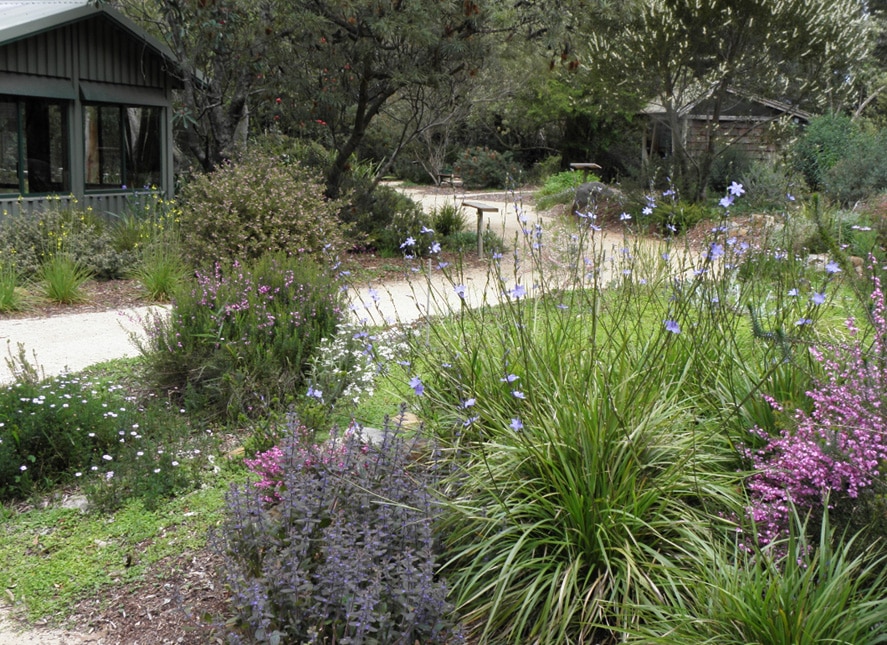 Yarra Ranges Council Review of service standards