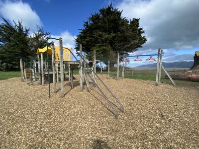 11e6e4b6-497a-44ab-acbb-0836b23e34ee_Jane-Wright