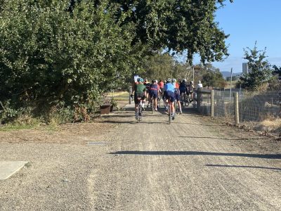 IMG_1866-copy_Alison-Rawley