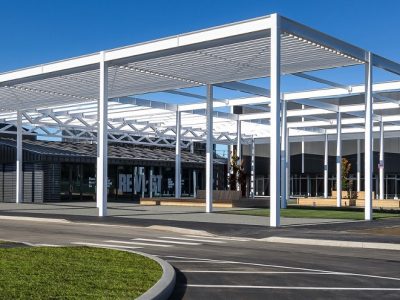 Picture-1_Marty-McGregor